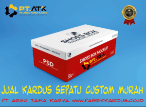 Kardus Sepatu 13