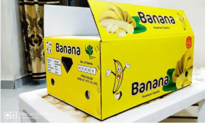 Jual Kardus Pisang